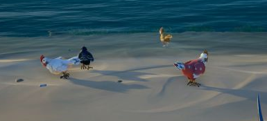 盗贼之海动物分布地点