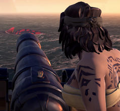 盗贼之海白羽鸡怎么抓