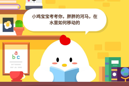 小鸡宝宝考考你,胖胖的河马,在水里如何移动的