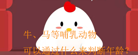 牛、马等哺乳动物可以通过什么来判断年龄?