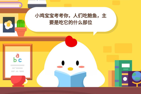 小鸡宝宝考考你,人们吃鲍鱼主要是吃它的什么部位