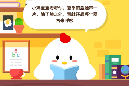 小鸡宝宝考考你,夏季雨后蛙声一片,除了肺之外,青蛙还靠哪个器官来呼吸