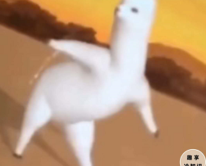 高低整两句什么意思