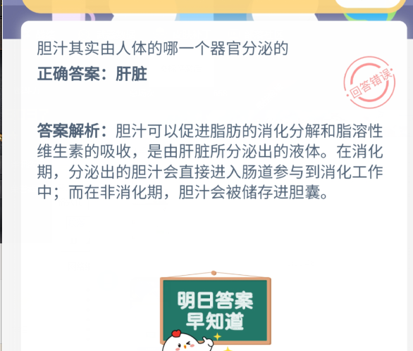 胆汁其实由人体的哪一个器官分泌的