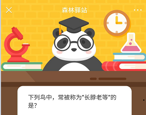 下列鸟中,常被列为“长脖子老等”的是?