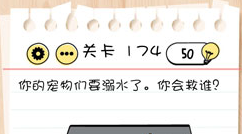 Brain Test第174关怎么过