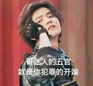 哥迷人的五官就是你犯罪的开端表情包