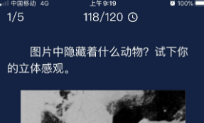 犯罪大师图片中隐藏着什么动物