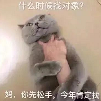 今年什么时候找对象表情包