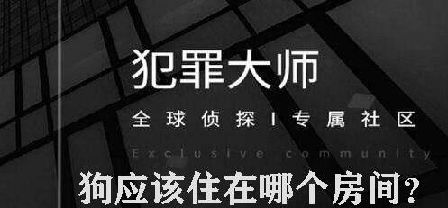 犯罪大师狗应该住在哪个房间
