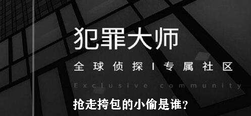 犯罪大师抢走挎包的小偷是谁