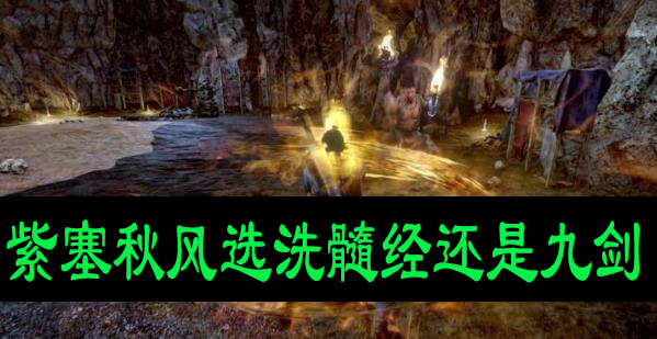 紫塞秋风选洗髓经还是九剑