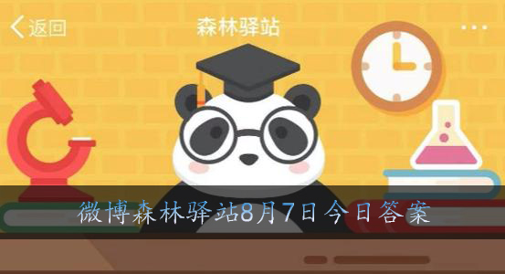 大熊猫的尾巴是什么颜色的呢?