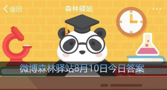 斑马的毛发是黑白相间那他的皮肤是什么颜色的