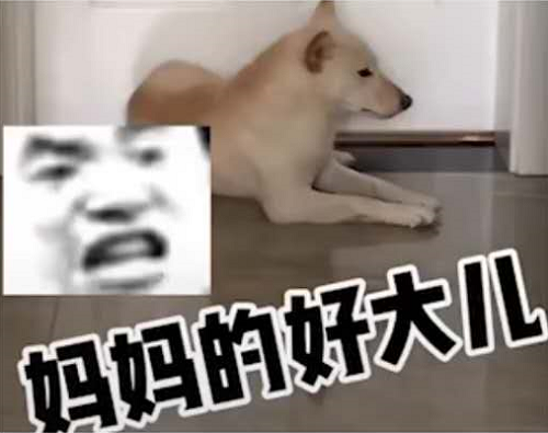 妈妈的好大儿什么梗