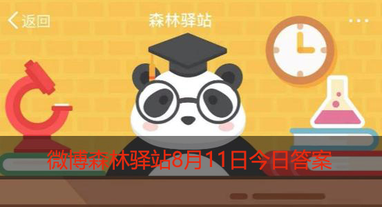 小海龟是如何从蛋里孵出来的