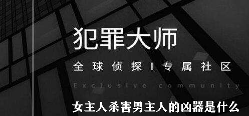 犯罪大师女主人杀害男主人的凶器是什么