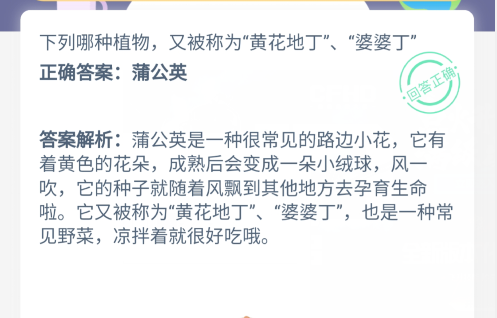 小鸡宝宝考考你,下列哪种植物,又被称为