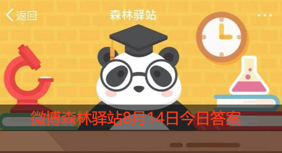 以下哪种动物行为预示着晴天的到来
