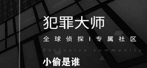 犯罪大师小偷是谁
