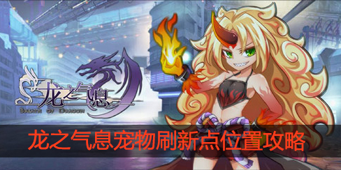 龙之气息宠物刷新点在哪里