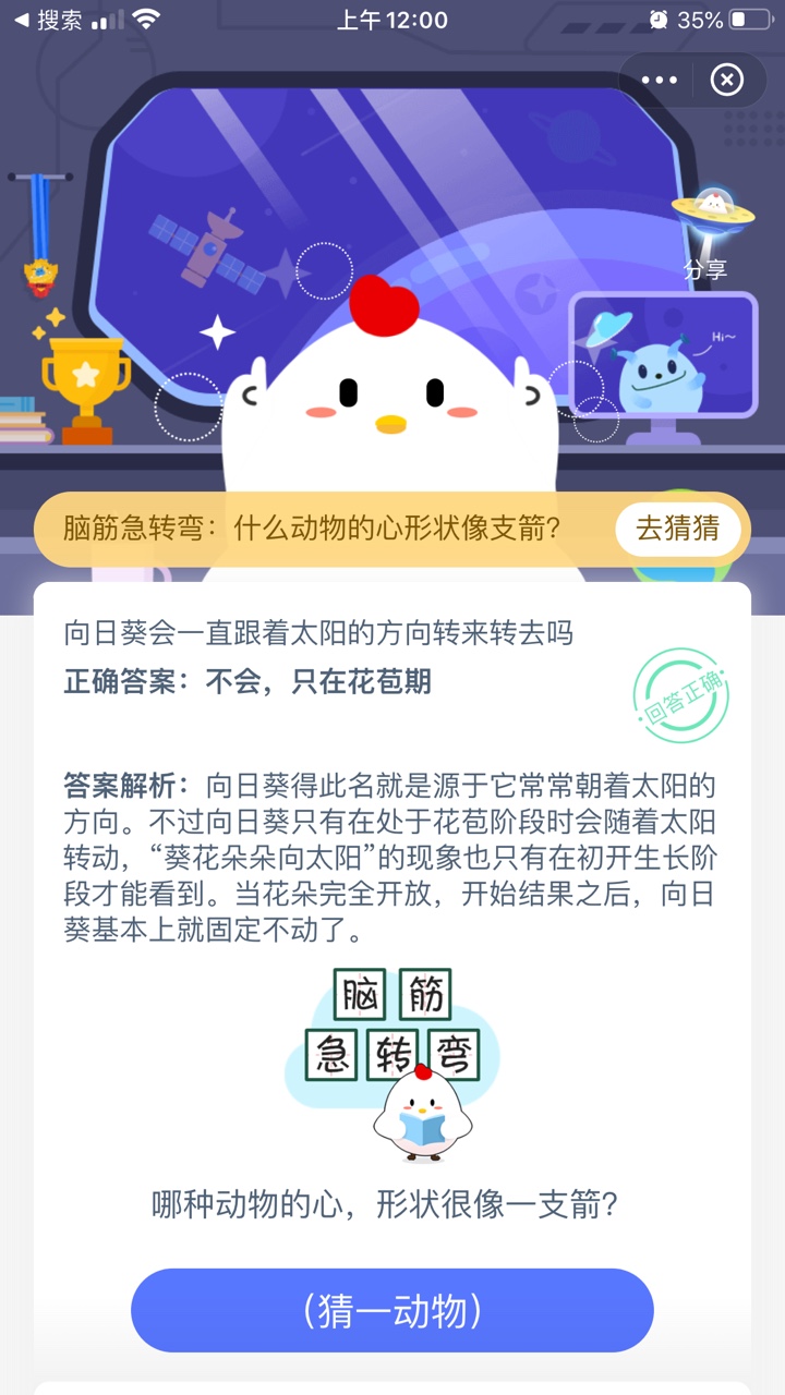 向日葵会一直跟着太阳的方向转来转去吗?