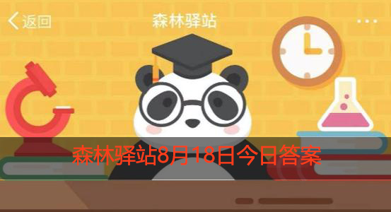 灰袋鼠宝宝出生多久后可以初次出育儿袋