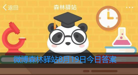 海龟一生能见到几次妈妈