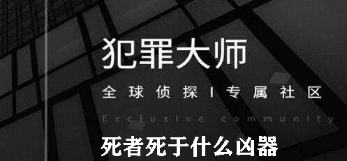 犯罪大师死者死于什么凶器