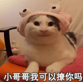 抖音我可以撩你吗表情包