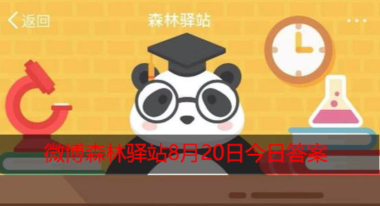 在南极洲不会看到以下哪种动物