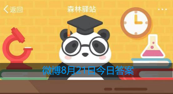 世界上变色龙种类最多的国家是哪个