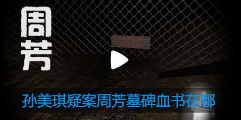 孙美琪疑案周芳墓碑血书在哪