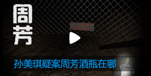 孙美琪疑案周芳酒瓶在哪