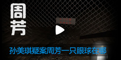 孙美琪疑案周芳一只眼球在哪