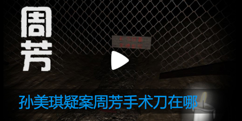 孙美琪疑案周芳手术刀在哪