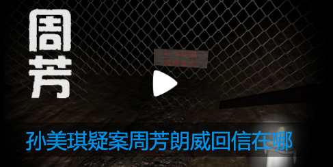 孙美琪疑案周芳朗威回信在哪