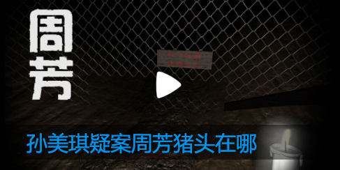 孙美琪疑案周芳猪头在哪