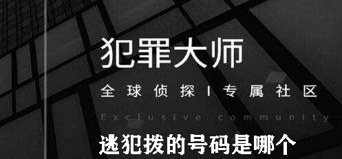 犯罪大师逃犯拨的号码是哪个