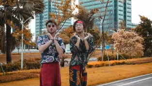 你是我心中最shuaimakmak的女孩是什么歌