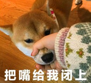 把嘴给我闭上是什么梗