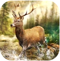 狩獵比賽遊戲下載-狩獵比賽安卓版下載