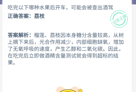 小鸡宝宝考考你，吃完以下哪种水果后开车，可能会被查出酒驾