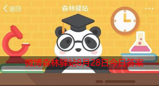 北极熊的皮肤是什么颜色