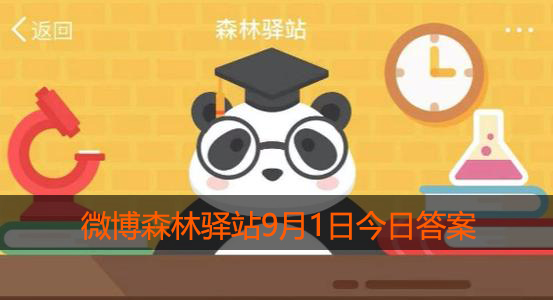 松鼠尾巴特别长,主要是为了什么