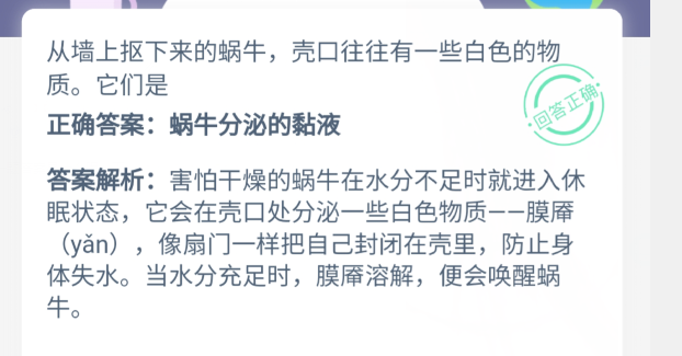 从墙上抠下来的蜗牛,壳口往往有一些白色的物质。它们是