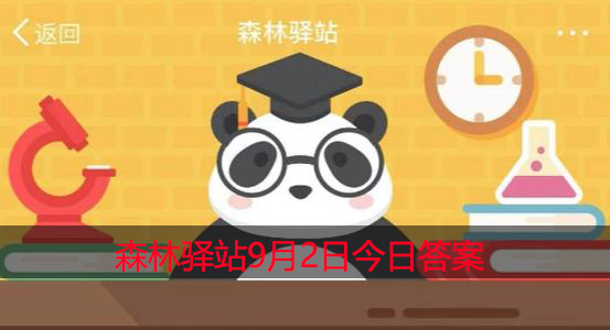 哪种甲壳类是能竖着走的呢