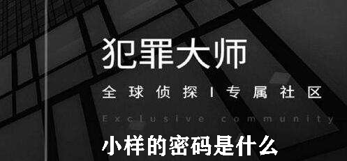 犯罪大师小样的密码是什么