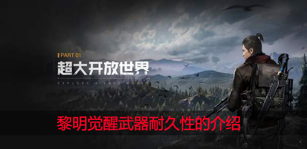 黎明觉醒武器有耐久吗