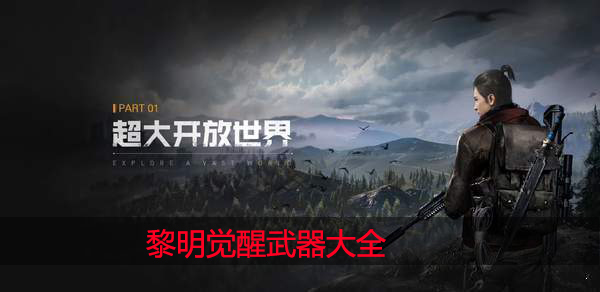 黎明觉醒武器大全